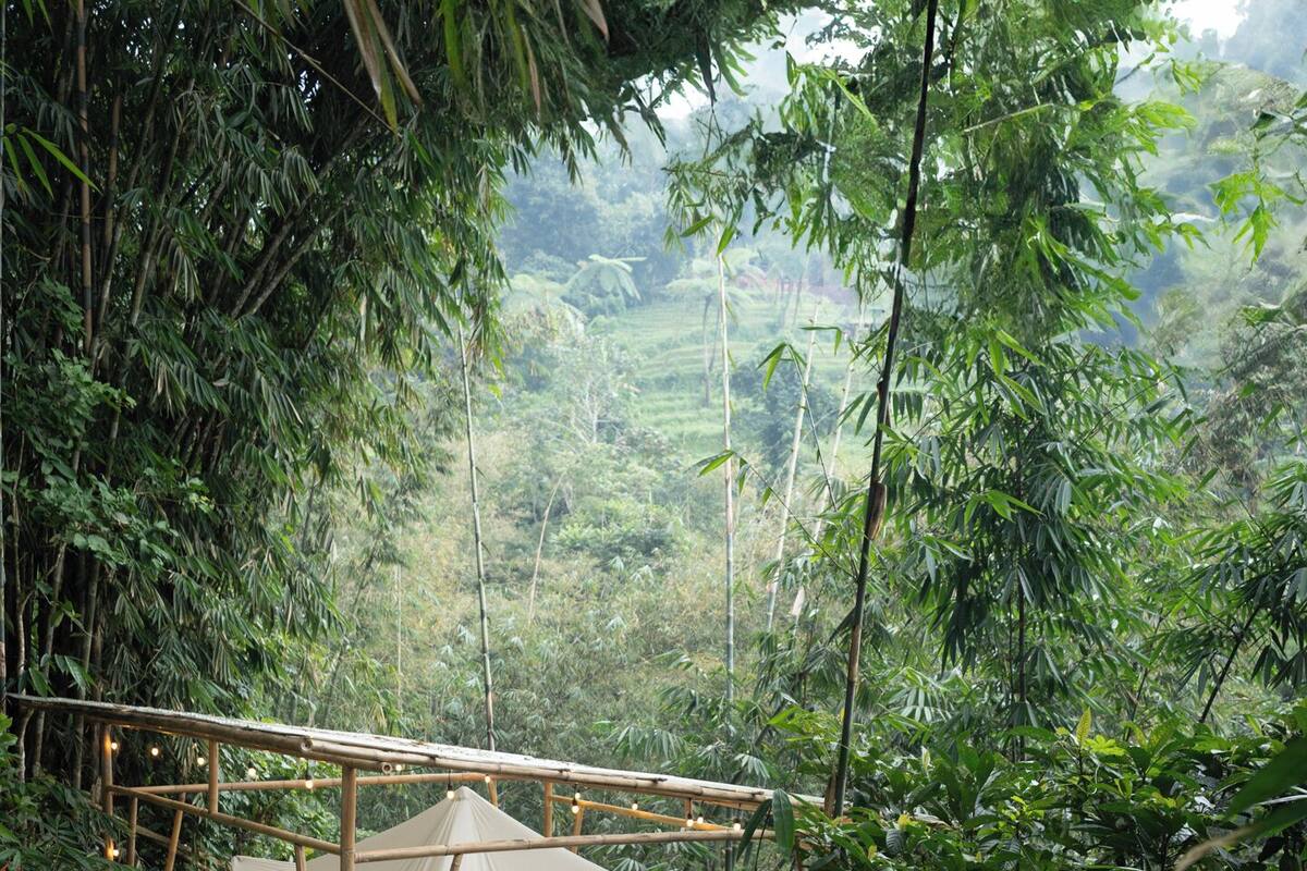 A bamboo structure with a white canopy tent surrounded by dense tropical foliage.