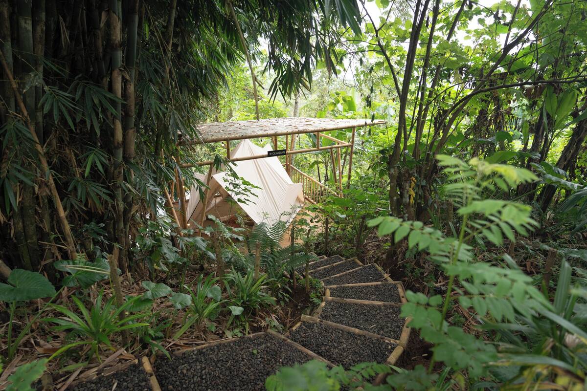 A bamboo structure with a roof, surrounded by dense foliage and a stone pathway.