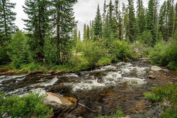 Paesaggio naturale con un fiume che scorre, fitta foresta e terreno roccioso.