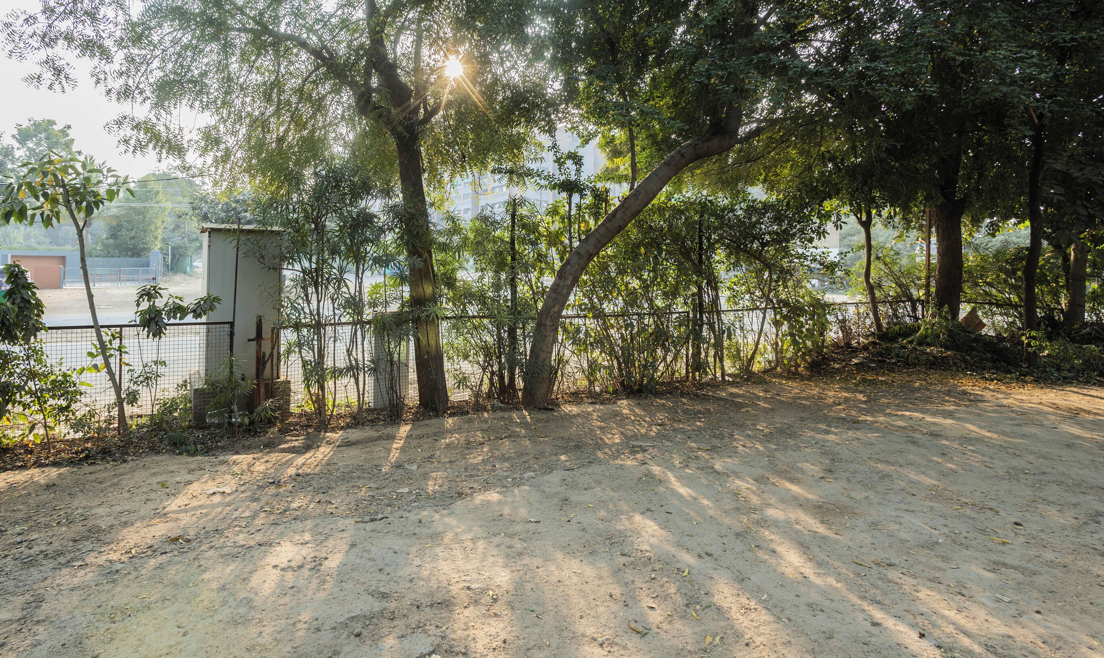 A dirt path leading to a fenced area with trees and a small building.