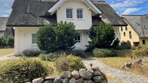 Eksteriør