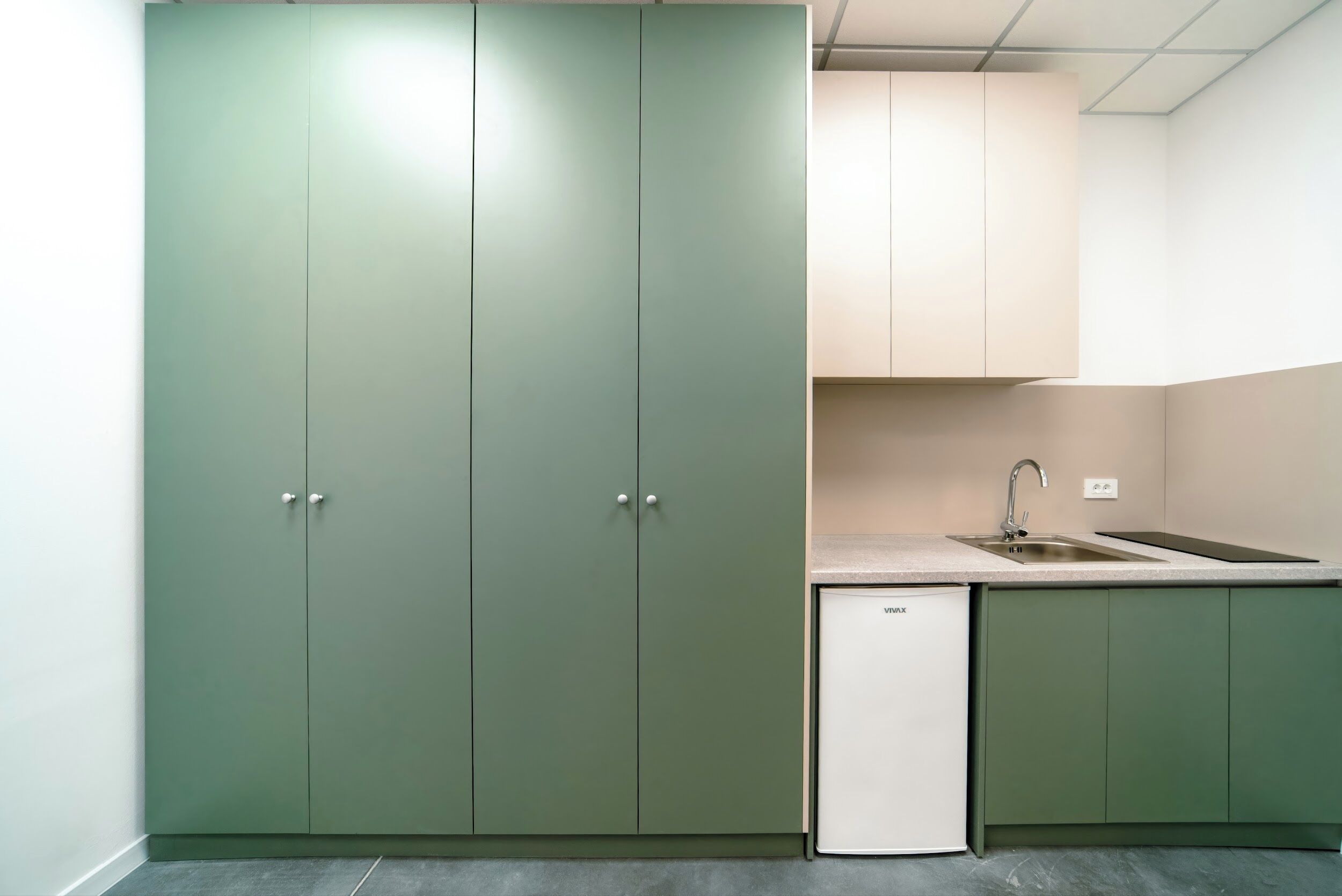 Classic Apartment | Private kitchen | Mini-fridge, cookware/dishes/utensils