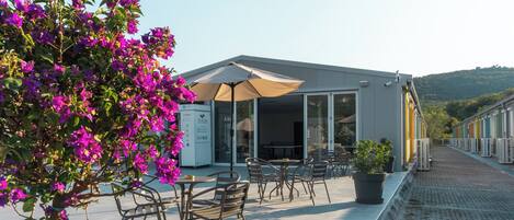 テラス / パティオ