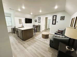 TV, fireplace, video games, computer monitors
