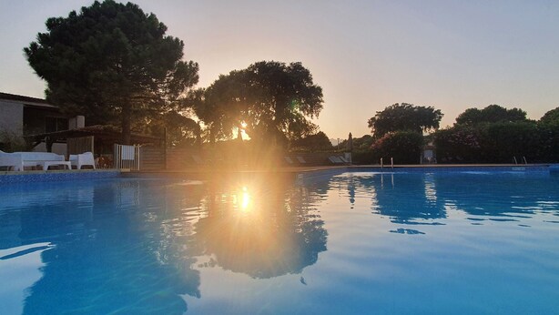 A swimming pool with clear water reflecting the sun, surrounded by trees and a building with a tiled roof.