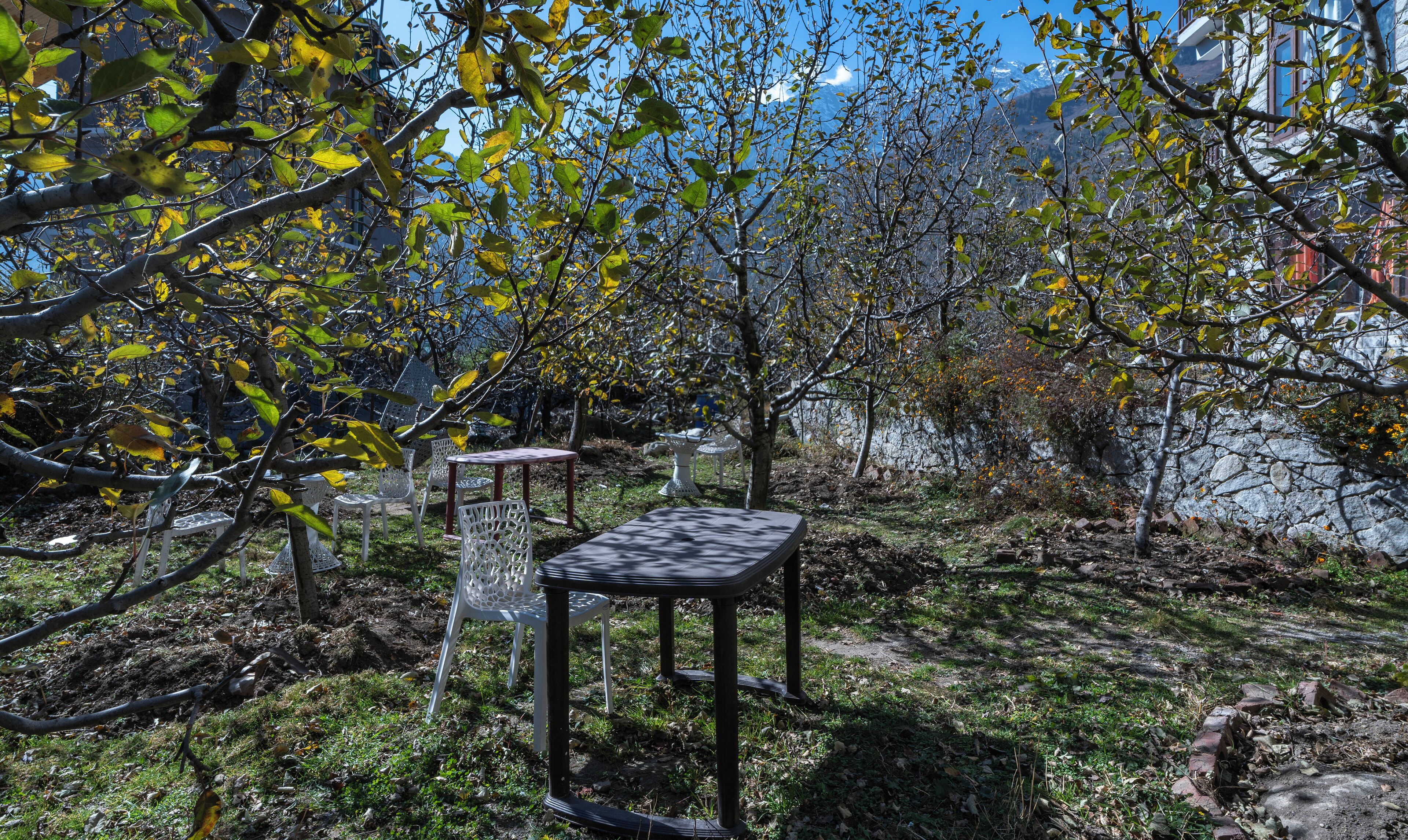 A garden with outdoor furniture, including a table and chairs, surrounded by trees and a stone wall.