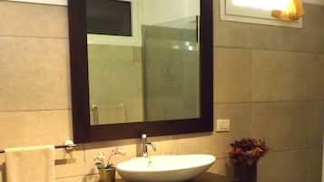 Shower, hair dryer, bidet, towels