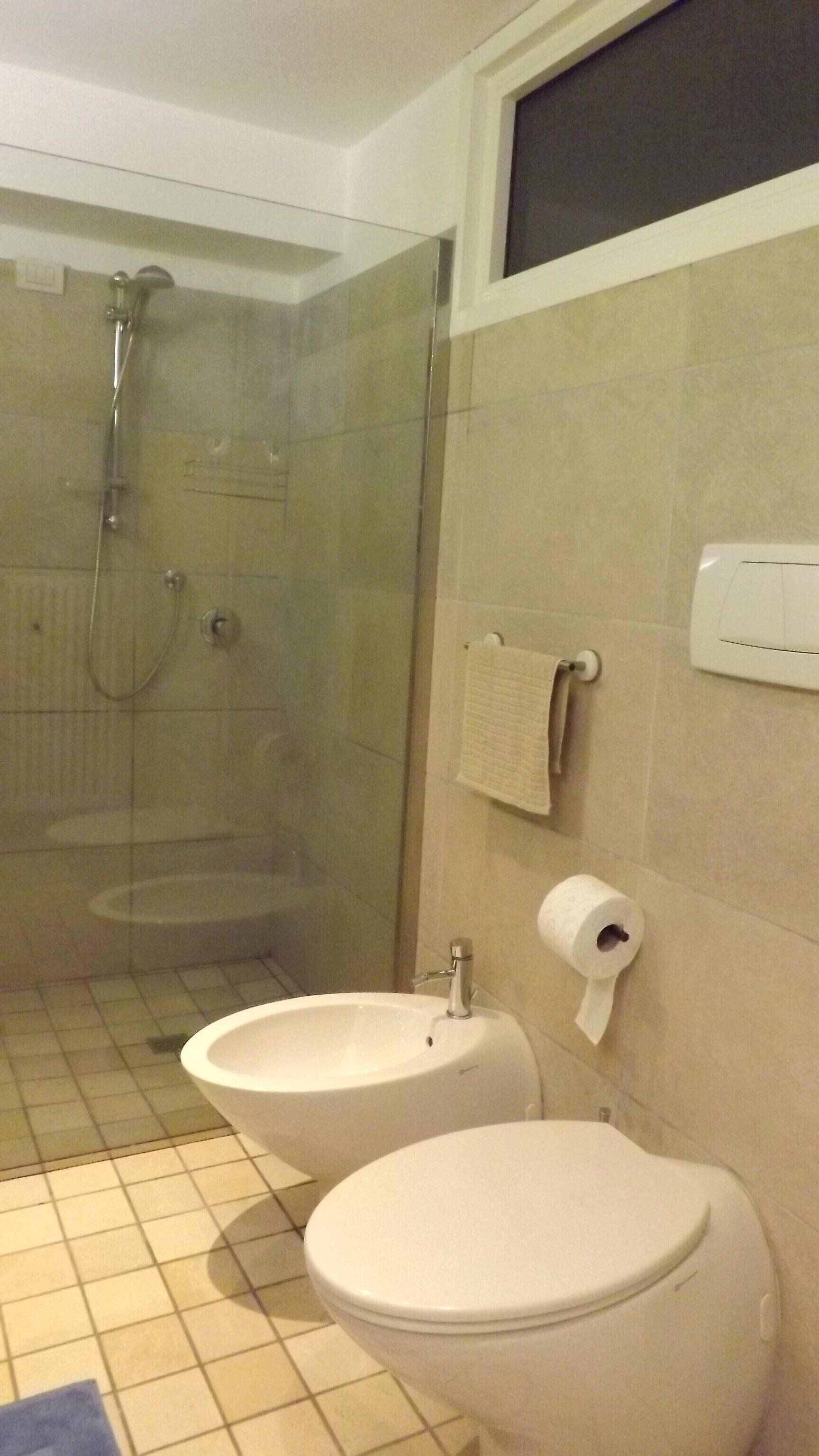 Een badkamer met een douchecabine van glas, twee toiletten, een wastafel en een toiletpapierhouder.