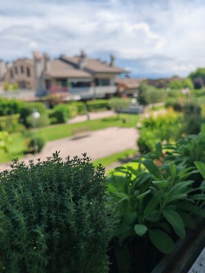 Property grounds - Villa la Zattera is located in a unique position on Lake Garda. (Desenzano del Garda)