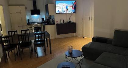Vacation apartment at Knoops Park 1 bedroom; 1 living room; kitchen; bathroom, terrace