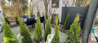 Vacation apartment at Knoops Park 1 bedroom; 1 living room; kitchen; bathroom, terrace