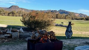 A clear sky, a kangaroo, a fire pit, and a wooden table in a grassy field with mountains in the background. - Hollow Mountain Cabin Laharum Dadswell bridge halls gap (Laharum)