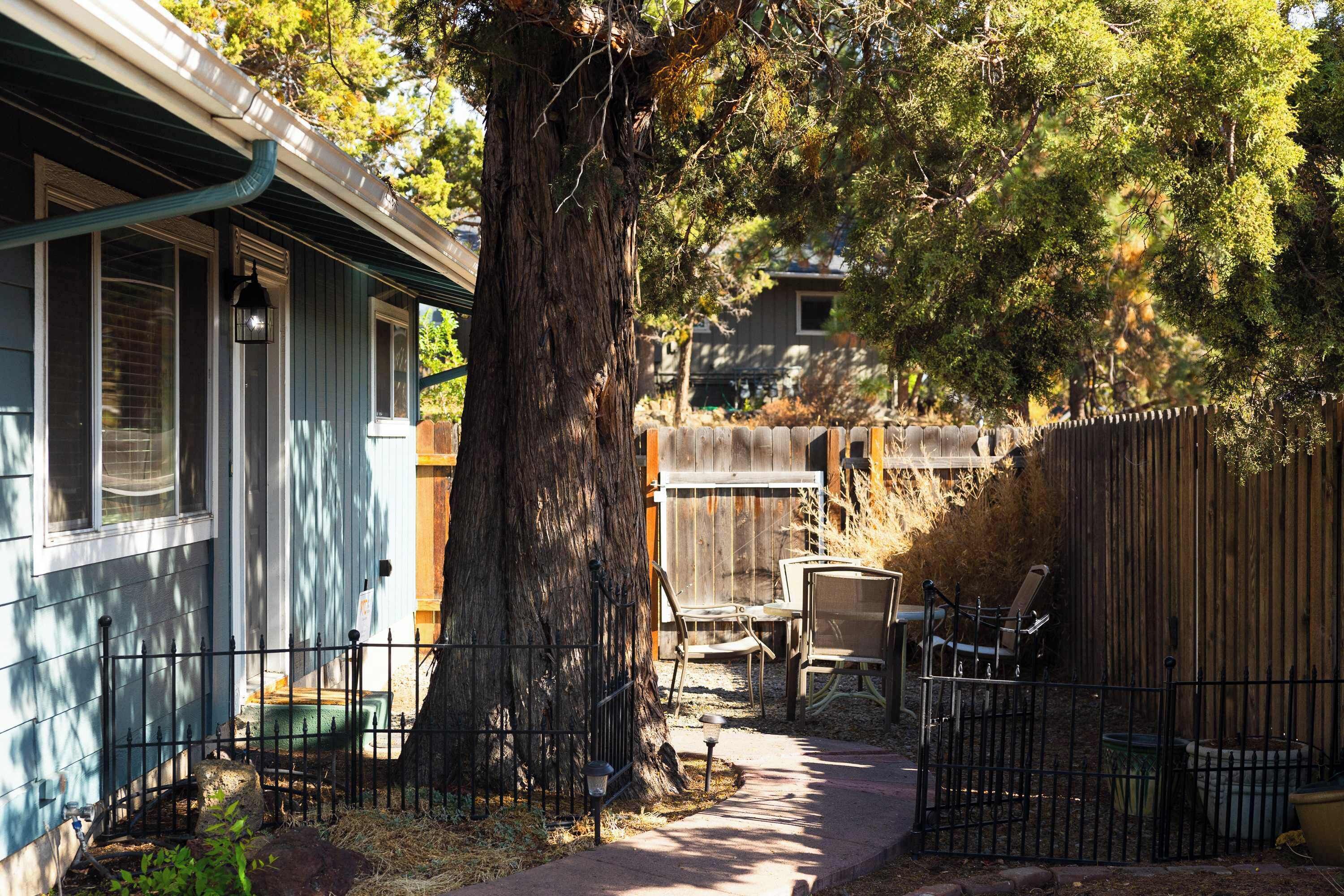 A residential backyard with a large tree, a wooden fence, and outdoor furniture.