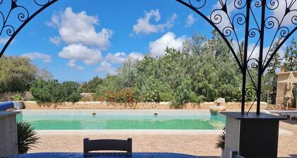 Riad Ahlam villa with swimming pool surrounded by argan trees