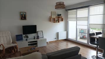 Televisio, DVD-soitin, kirjoja, videokirjasto