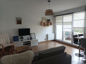 TV, DVD player, books, video library