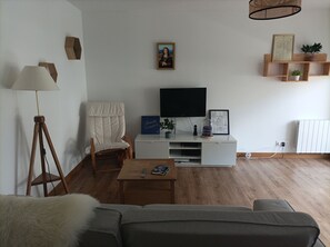 TV, DVD player, books, video library