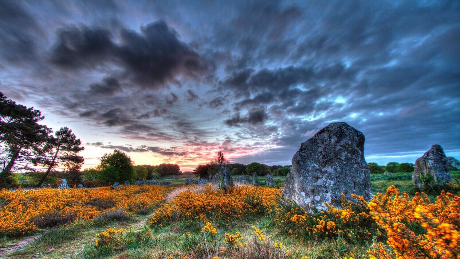 Een landschap met grote rotsblokken en een veld oranje bloemen onder een dramatische lucht.