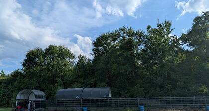 Cozy cabin in charming Trenton NC