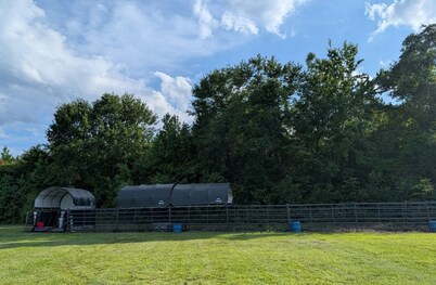 Cozy cabin in charming Trenton NC