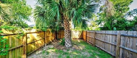 Patio trasero con valla de madera, una palmera y varios arbustos.