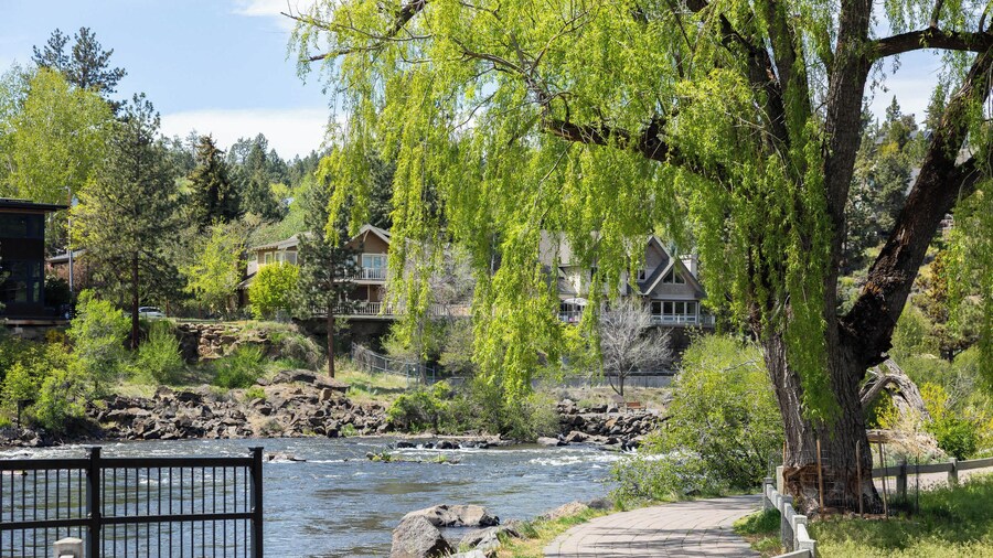 At the River - Beautiful Stay, Amazing River View