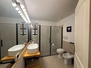 Shower, hair dryer, bidet, towels