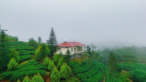 A house surrounded by lush green tea plantations. - Aruvi Vagamon by Voye Homes (Vagamon)