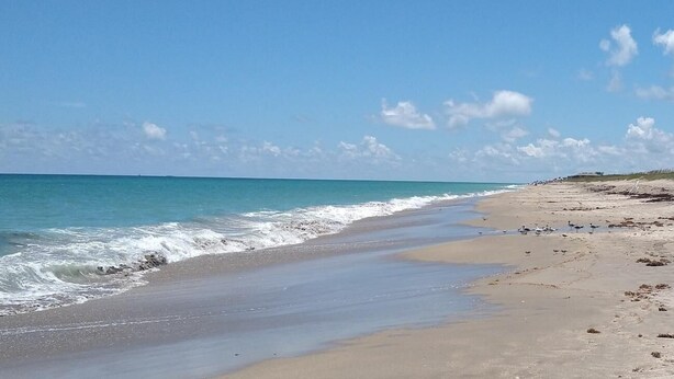 Una playa con cielos despejados y aguas tranquilas.