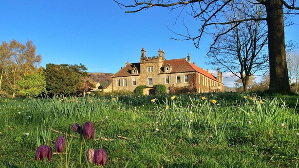 A large stone building with a red-tiled roof, surrounded by a lush green field with daffodils and a tree in the foreground. - Stunning  villa for 4 people with WIFI, TV and terrace (Ingleby Greenhow)