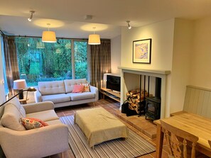 TV, fireplace - Wonderful  villa for 4 people with WIFI, TV and terrace (Ingleby Greenhow)