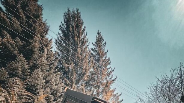 Une cabane moderne en bois, dotée d’une façade en verre, entourée de grands arbres et agrémentée d’une terrasse en bois.