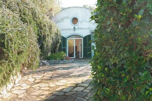 Detalle del exterior