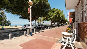 Terras