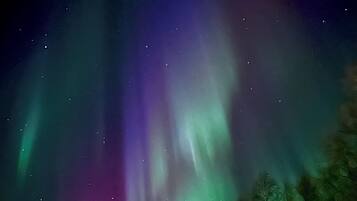 Cielo nocturno con auroras boreales sobre un bosque.