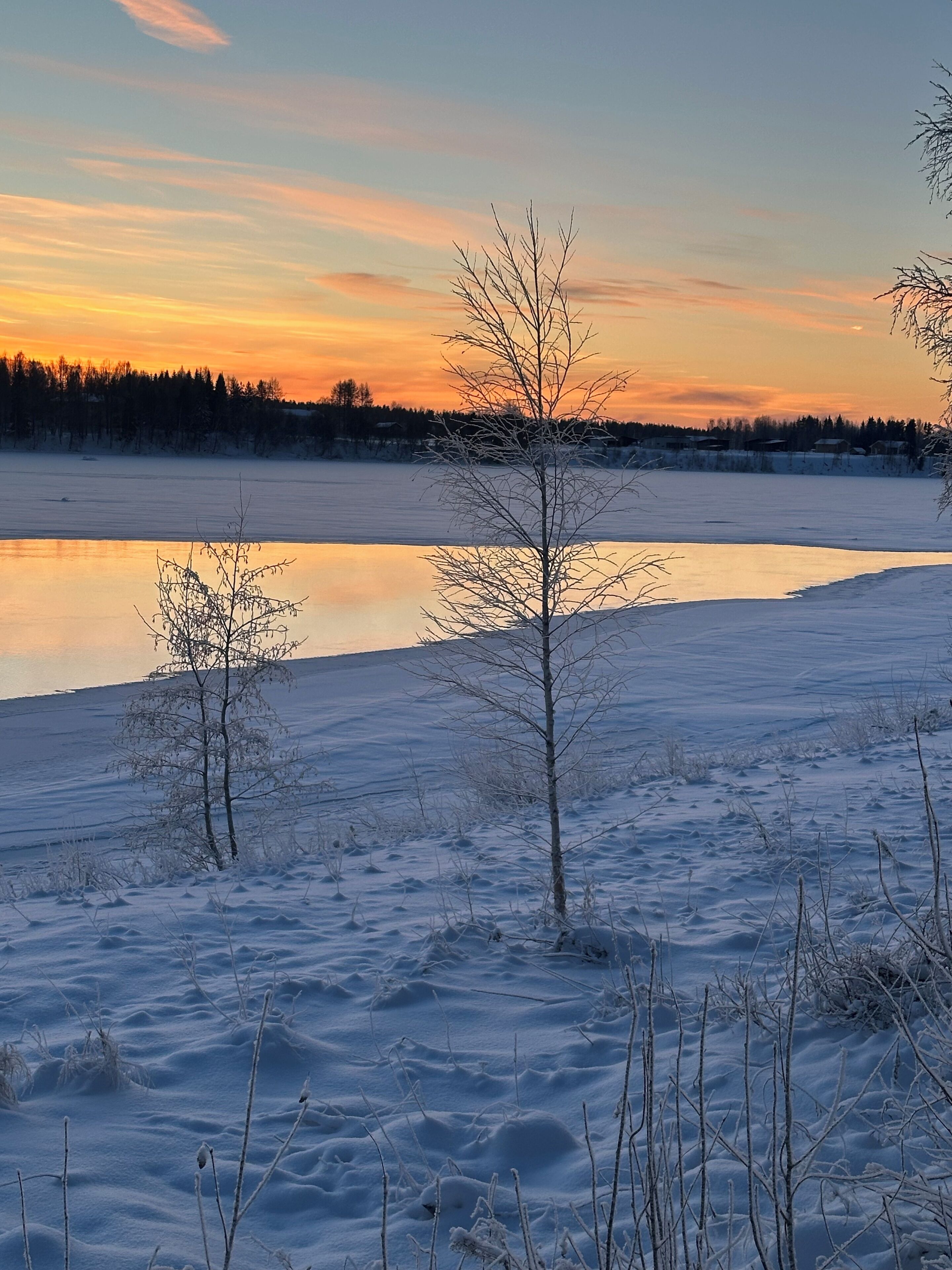 Un paysage hivernal avec un lac gelé, des arbres sans feuilles et un ciel dégagé.