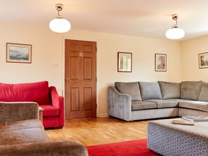 Televisión, chimenea, reproductor de DVD