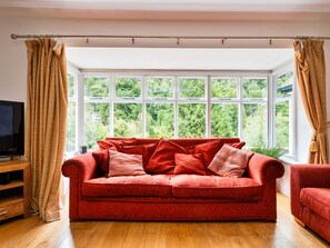 Fireplace, DVD player