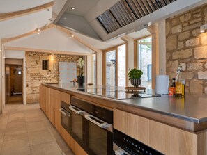 Microondas, horno, lavavajillas y periquera 