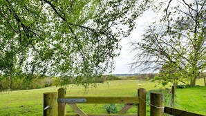 Une barrière en bois mène à un champ herbeux où paissent des moutons.