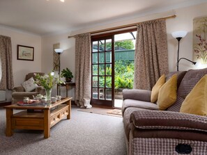 Télévision, cheminée, lecteur de DVD