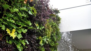 A garden with a water feature and a vertical garden wall. - Vallér Parque Hotel Executive (Lajeado)