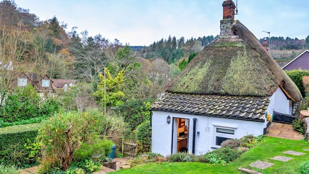 A quaint thatched-roof cottage with a white exterior, surrounded by lush greenery and a stone pathway leading to the entrance.