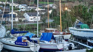 Een jachthaven met meerdere boten afgemeerd, waaronder een met de naam "SAFFRON".