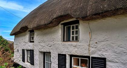 Beautiful villa for 4 guests with WIFI