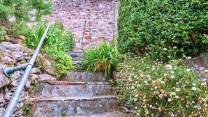 Eine Steintreppe mit Metallrohr, umgeben von Grünpflanzen und Blumen.