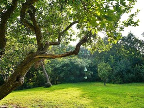 Property grounds - Wonderful  villa for 6 people with WIFI and pets allowed (Newquay)