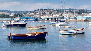 A harbor with various boats docked, a pier, and a town in the background.