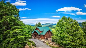 Eine Blockhütte mit grüner Dach, umgeben von dichtem Wald und Bergen im Hintergrund.