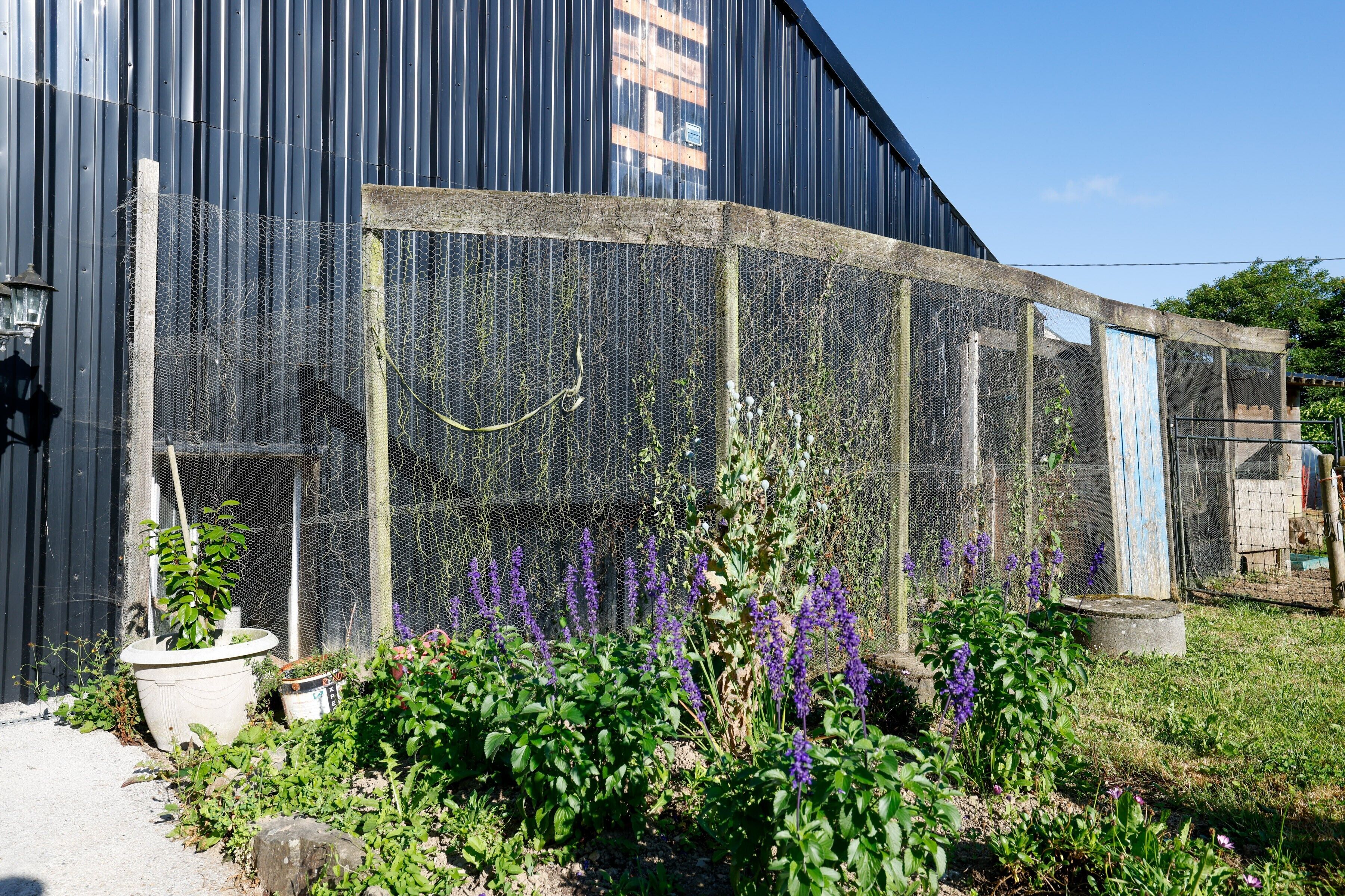 Área da propriedade